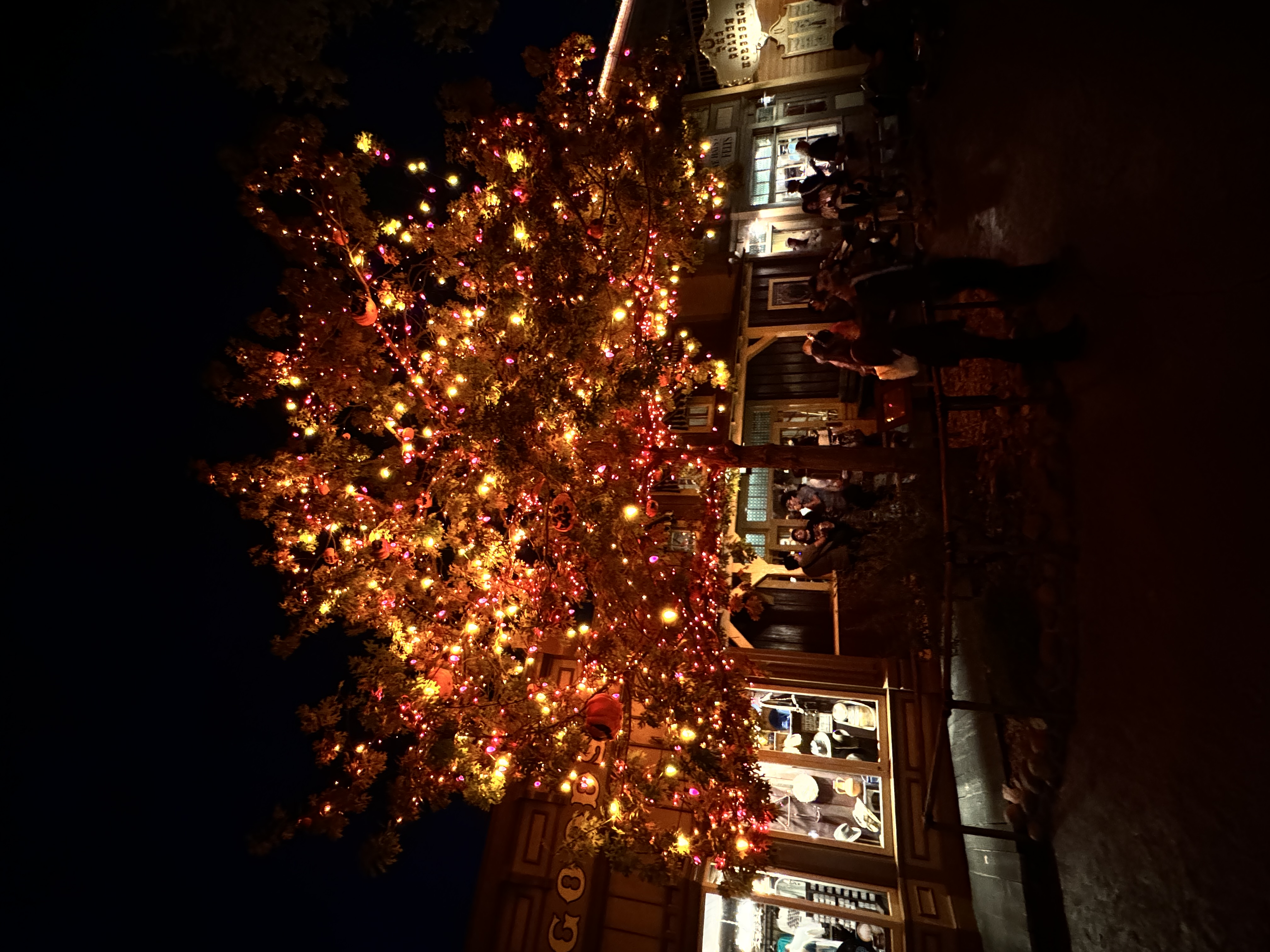 Adventureland Tree by Night