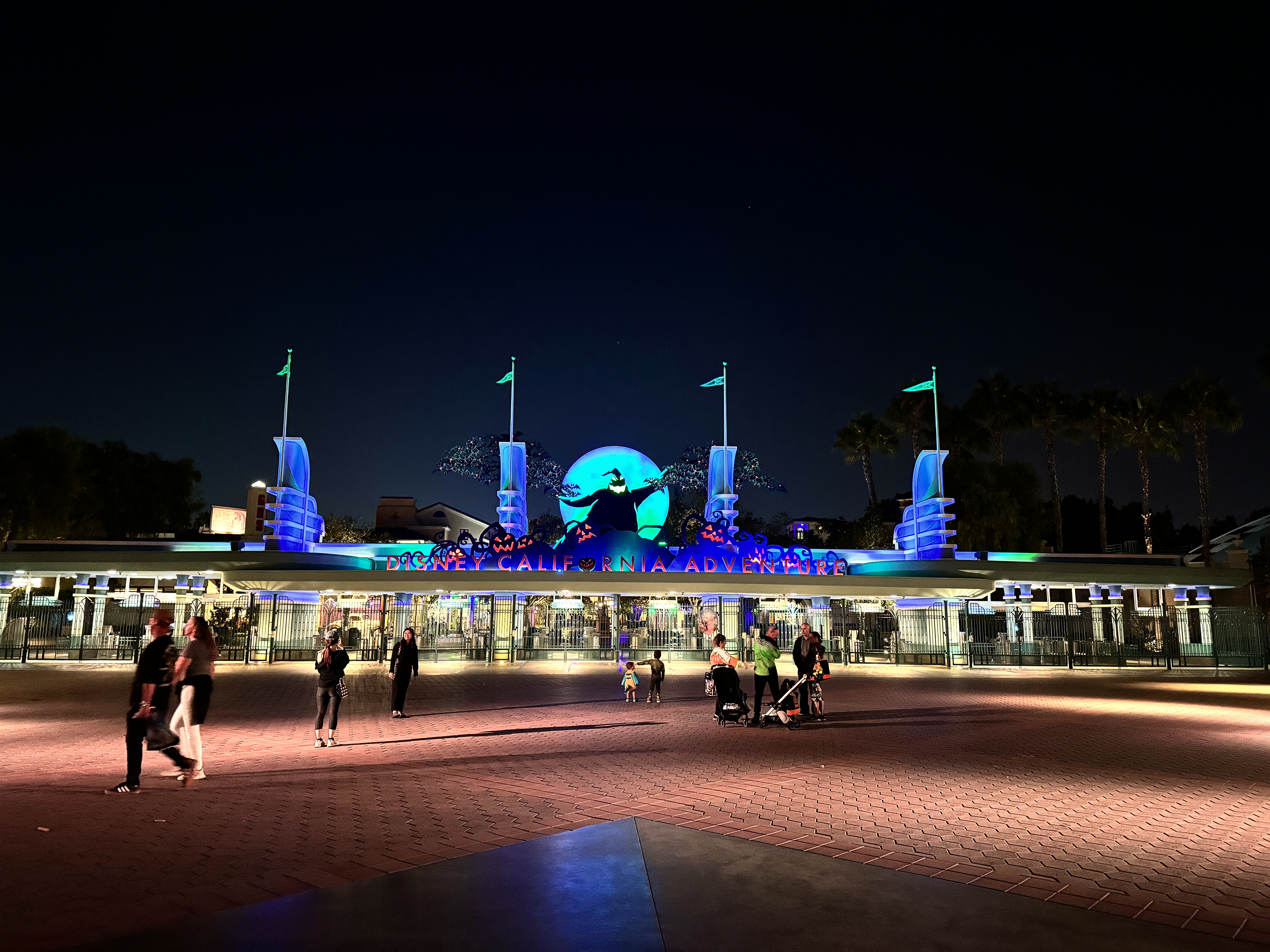 California Adventure by Night